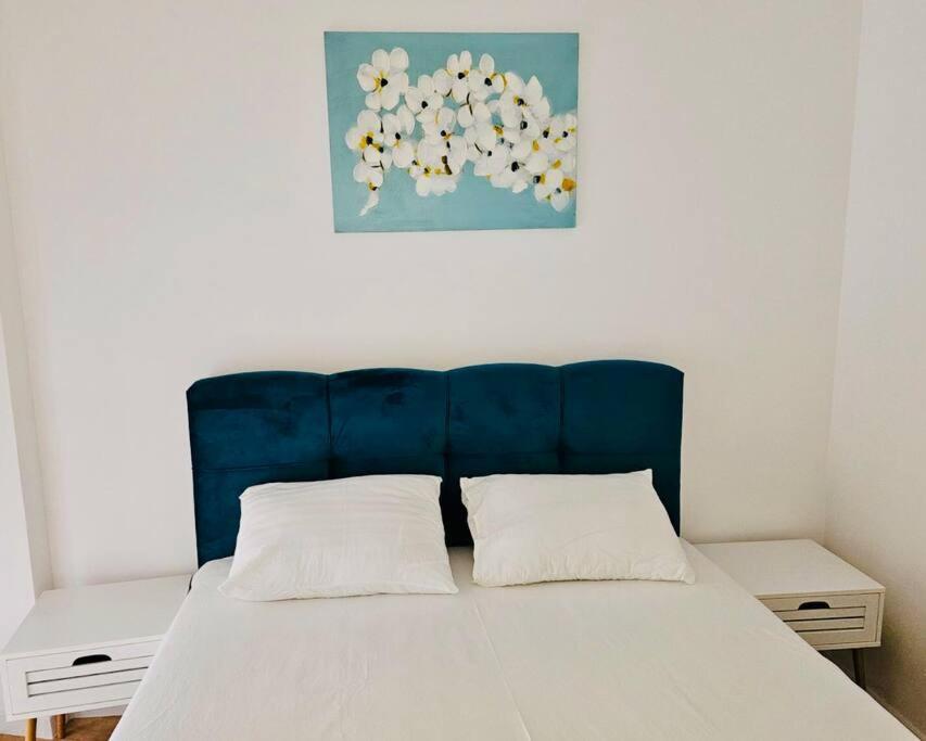 Joy City Stay Mara M10-12 Temeşvar Dış mekan fotoğraf